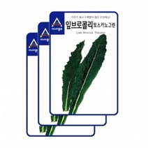 채소씨앗 - 잎브로콜리 토스카노 뉴그린(1000립x3)
