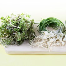 세척 손질 노지 냉이 달래 500g 1kg 제철, 세척 손질 냉이 500g