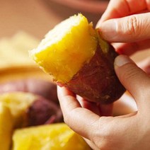 달수고구마 해수 전라도 무안 친환경 유기농 무농약 햇 꿀 황금 고구마 3-5-10kg, 달수고구마_엄지(한입)_5kg