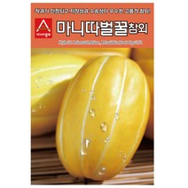 팜스마켓 참외씨앗 종자 벌꿀 참외종자 50알, 1.마니따벌꿀 50립