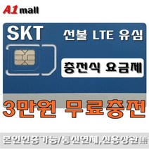 에이원몰 SKT선불폰 선불유심 유심개통, 1개, 3만원 무료충전