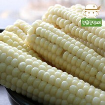 삼촌밥먹자 쫀득쫀득 괴산 급냉 찰옥수수 30개, 1box 하(15cm이하)