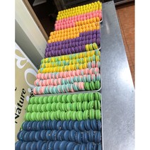 HACCP마카롱납품 뚱카롱납품 수제 마카롱 도매 대량주문 단일 마카롱 160개, 레몬요거트