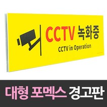 대형 포맥스 안내판 CCTV녹화중, 본상품선택