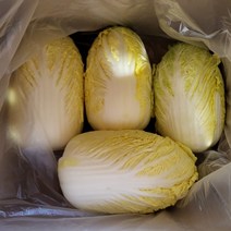 국내산 해남 알배기 알배추 쌈배추 2통 4통 6통 12통, 쌈배추2통