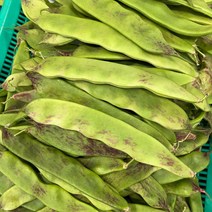 금성식품 중국식품 중국야채 단콩 유떠우 400g