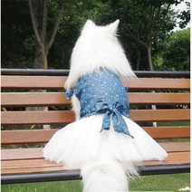 대형견옷 강아지패딩 대형견큰개 드레스 여름 옷 Corgi Samoyed Spitzbn 코커 스패니얼 골든 리트리버 의류, 01 파란_05 XXXL
