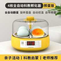 부화기 병아리부화기 인큐베이터 자동부화기 가정용 병아리 메추리 알 인큐베이터, D 4풀오토