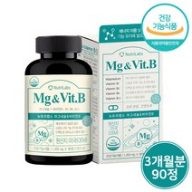 고함량 마그네슘 비타민B 영양제 활력 에너지 보충 신경 근육 기능 유지 영양제 사은품 증정, 1통