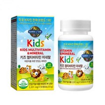가든오브라이프 키즈 멀티비타민 미네랄, one option, one option