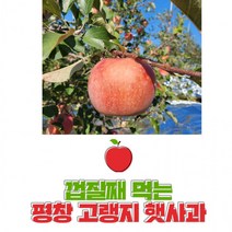 평창사과 껍질째먹는 고랭지사과 꿀부사사과 10kg 30과 내외 친환경햇부사, 상세페이지 참조