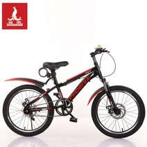 피닉스 브랜드 키즈 자전거 소년 중학생 8-10-12-14 세 18/20/22 인치 가변 속도 자동차 학생 차, (싱글 스피드 레드) 페인트 에디션 + 디럭스 팩, 20인치