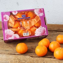 제주 고당도 달콤한 설국향 선물세트 1.5kg, 단품
