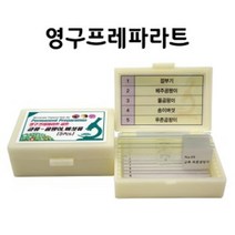 곰팡이세포구조 현미경표본 교육키트 초등과학 생물체 표분 관찰용파라트 홈스쿨링