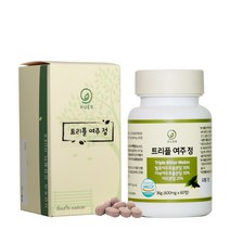 유기농 발효여주 분말 추출물 미숙여주환 P인슐린 모모르데신 난소화성말토덱스트린 돼지감자 아티초크 100% 국산, 1통