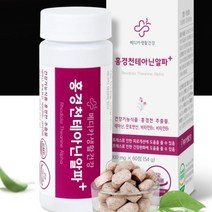 l테아닌 홍경천추출물 판토텐산 비타민B 스트레스 디스트레스 불안 초조 장애 긴장완화 피로개선 신경안정제 태아닌 불면증 수면장애 해소 숙면 알파파 릴렉스 영양제, 4병(4개월)