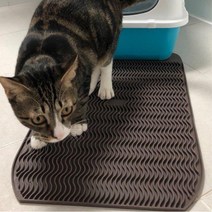 모래쏙쏙 실리콘 고양이발판 사막화방지매트 성묘