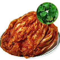 국내산 유기농 한방 포기김치3kg, 울금포기김치, 김치3kg
