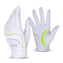 카시야 여성용 콤비양피 양손 골프장갑 2세트, 여성용반양피_19호2세트