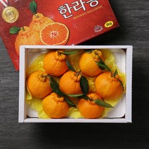 [빛과나무] 자연속 빛가득 제주한라봉세트 3kg(9-11입/특품), 상세 설명 참조
