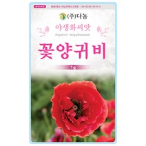 꽃향유 2000립 - 야생화 씨앗 꽃씨 씨 꽃씨앗 꽃향유씨앗 꽃향유씨 다년생꽃씨 여러해살이 야생화씨 야생화씨앗 꽃 해주향유 붉은향유, 07_다농_꽃양귀비(1g)