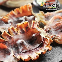[미소드림] 산지직송 구룡포 피데기 반건조오징어 10미 900g∼1kg, 단일속성