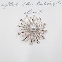 [라비올렛] j178 화려한 우아한 돋보이는 반짝빛나는 패션 포인트 브로치