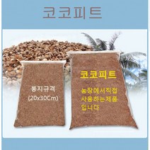 보물섬 달팽이 키우기: 코코피트, 블록