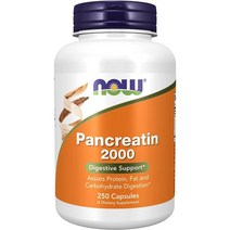 Now foods - Pancreatin 나우푸드 판크레아틴 췌장효소 250정, 250 Count (Pack of 1), 1개, 250개