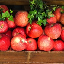 경북 산지직송 당도선별 가정용 정품 꿀사과 부사사과 2kg 3kg 5kg 10kg, (특가-가정용) 2kg / 소과 / 10-13과