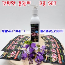 (샤인몰) 익스프레스 유니버설 2종 세트/NEW 플라워푸드200ml 1개+사쉘5ml 10개/간편한 꽃관리