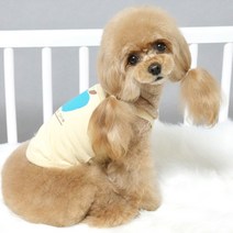 ZOOBICO 강아지 데일리 나시티 네츄럴티 워싱티셔츠 (3color) XS~XXL, 옐로우