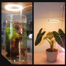 어항스팟 수초 조명 천사링 라이트 금붕어 식물 led
