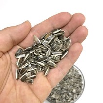 소형 해바라기씨 100g 세척+볶음 곡물 조류 사료