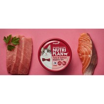 뉴트리플랜 흰살참치와 닭가슴살 고양이 주식캔, 참치+연어, 160g, 48개