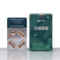 씨스팡 관절팔팔 155mgX56캡슐/ 관절영양제 초록입홍합추출오일, 씨스팡 관절팔팔 155mgX56캡슐(2박스-1개월분)