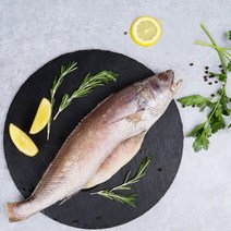 국내산 손질 민어 (냉동), 8마리 (약3kg)