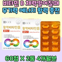 비타민 B 체력보충 기운없을때 단백질 탄수화물 대사 엽산 건강 관리 영양제 나이아신 비오틴 판토텐산 컴플렉스 에너지 생성 활력 충전 클로렐라 블루베리 비타민 B1 B5 B6
