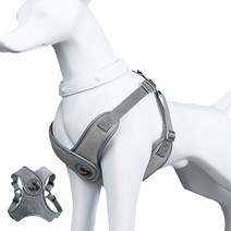 펫느 강아지 X형 하네스 보듬 가슴줄, 그레이
