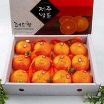 익산원예농협 레드향 3kg (특12내), 익산원예농협 레드향 3kg (특12
