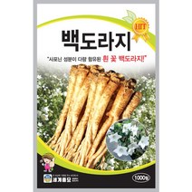 식물세계 / 백도라지 씨앗 1000립 사포닌 함량이 높은 흰 꽃 도라지 세계종묘