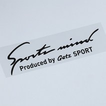 자동차 눈썹 스티커 액세서리 비닐 필름 데칼 현대 호환 겟츠 그랜저 넥소 팰리세이드 스타렉스 티뷰론 장소용, [01] For Getz, [04] Silver