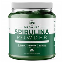 [BNLABS]유기농 슈퍼푸드 스피루리나 파우더 Spirulina Powder Organic 1kg/2.2lb