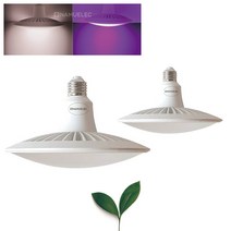빛솔 LED 식물등 30W 식물생장 재배등 엘이디램프 다육이전구, 집게형자바라, 백색(아이보리빛)