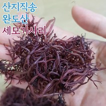 자연산 완도 산지직송 세모가사리 건조세모가사리 150g 300g 해초샐러드 모듬해초 건해초 해초류 해조류, 건조세모가사리_150g