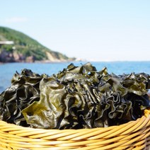 효담상회 완도 자연산 햇 미역귀 500g