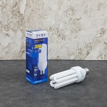 BK장수 30W 삼파장 전구 (주광색) EFQU30EX-D, 본상품