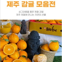 제주 조생 노지감귤 서귀포 중대과 로얄과 꼬마과 5kg 10kg 비타민 가족간식 아이간식 후식과일 배송혜택 리뷰추첨, 꼬마과5kg