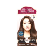 3개)려 우아채 멋내기 새치염색중택, 5N 자연갈색, 3개