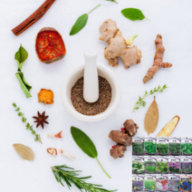 페퍼민트 타임 바질 카모마일 라벤다 루 챠빌 소렐 차이브 세이지 히숍 와일드 루꼴라 스테비아 허브 씨 씨앗 종자